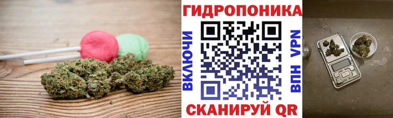 shop наркотические препараты  omg онион  Электросталь  Canna-Cookies конопля 