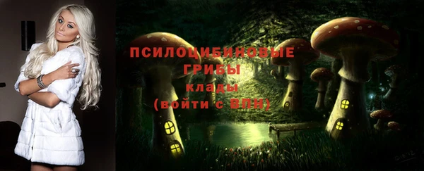 бутират Вяземский