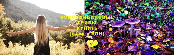 бутират Вяземский