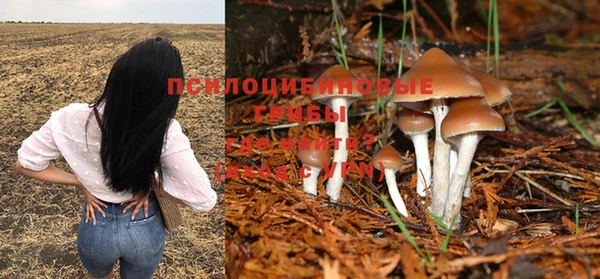 бутират Вяземский
