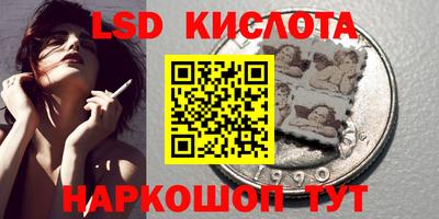 прущие грибы Камышлов