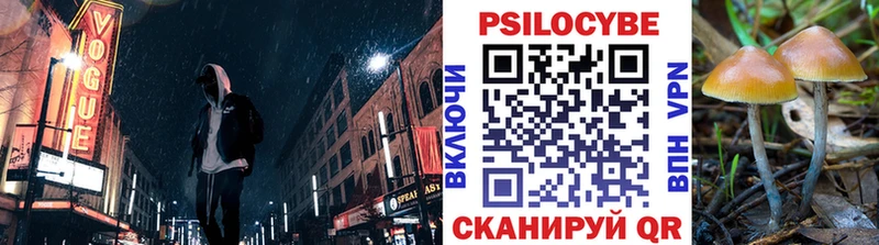 закладки  Электросталь  Галлюциногенные грибы Psilocybine cubensis 